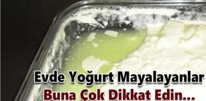 Katı yoğurt nasıl yapılır