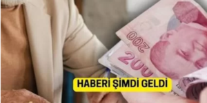 1999-2008 yılları arasında sigorta girişi olan vatandaşlar,