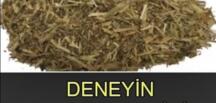 Kaşıntıyı Anında Kesen O M-u’cize Bitki..
