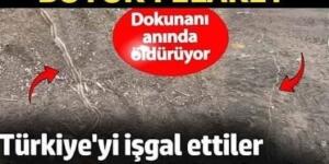 Peş peşe konvoy gibi geliyorlar!