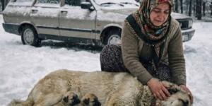 Eve doğru giden genç bir kadın, Erzurum’un şehirlerarası yolunda,