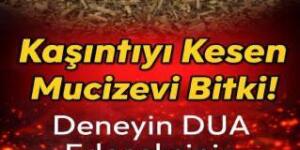 Kaşıntıyı K’esen Mu cizevi Bitki..