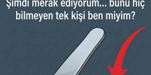 Bunun asıl amacı meğer buymuş..