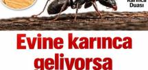 Karıncanın sessiz duası: hanenize gelen 7 manevi mesaj..