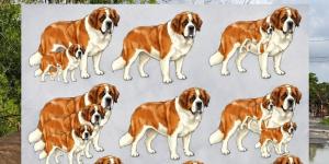 Bunu cevaplamak için keskin gözlere sahip olmak gerekir! Resimde Kaç köpek!