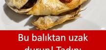 Bu Balıktan Uzak Durun! Neden mi? Sebebi