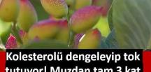 D’oğal bir şi’fa deposu