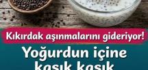 Yoğurdun içine ekleyin kaşık kaşık yerseniz kemik ve eklem a’ğrılarınızı son bulacak…